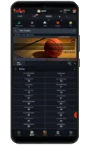 Ставки на баскетбол pinup bet app