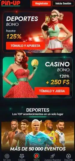 Pin Up casino app
