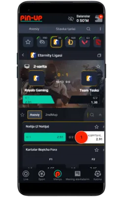 pin-up bet mobile app