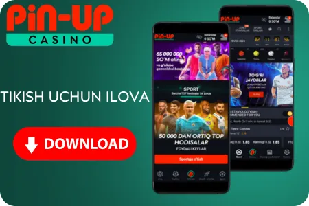 Pin Up Bet App download 
