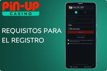 Registro en Pin-Up APK