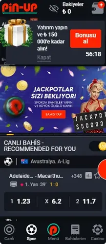 Pin Up Casino Download APK