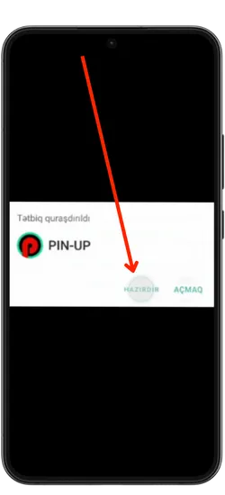 Tətbiqi İşə Salın Pinup